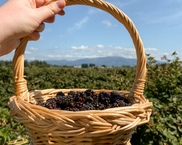 Bumbleberry Farms-61