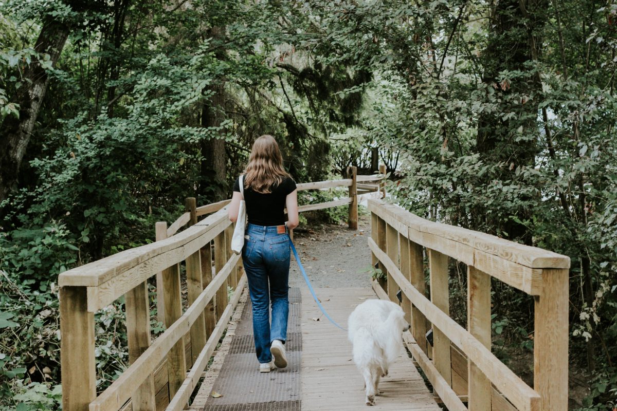 Dog Friendly Places in Abbotsford Tourism Abbotsford