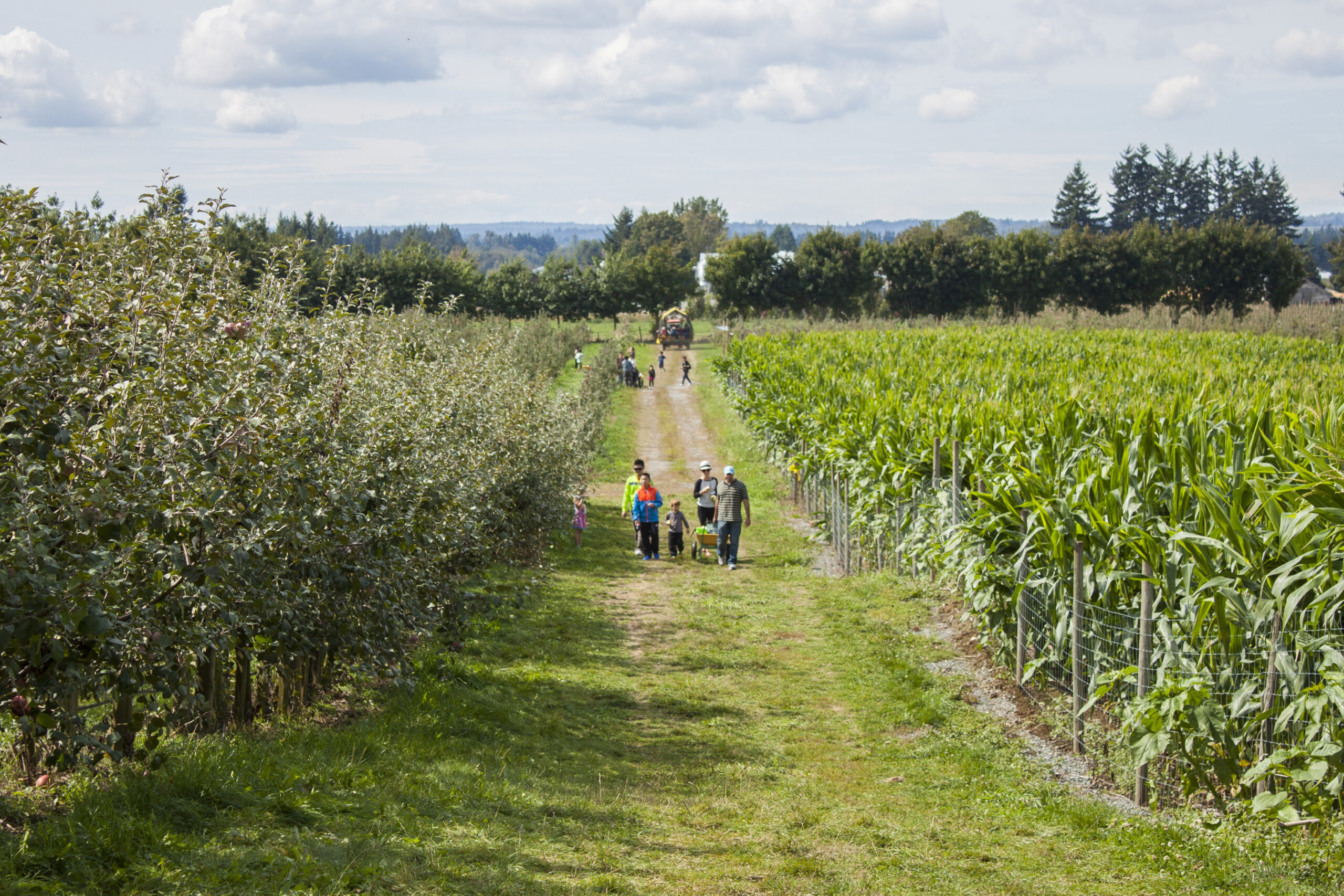 CircleFarmTour_Taves Family Farm_FamilyFun