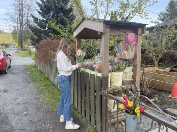 Farm stand A person stands beside a roadside wooden flower stand, selecting a bouquet of tulips from white buckets arranged under a small roof.