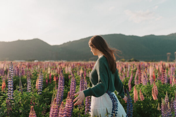 Photo Credit: Robyn Bessenger A person walks through a blooming field of colorful lupines, brushing a hand along the flowers with mountains behind.