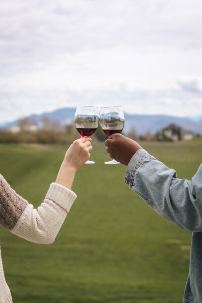 Mt Lehman Winery Two people clink glasses of red wine together while standing on a grassy field with hills in the distance.