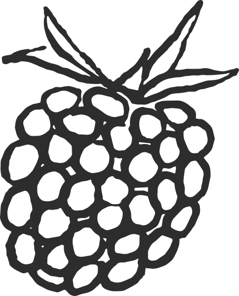 Raspberry_Black_Illustrations_ABB