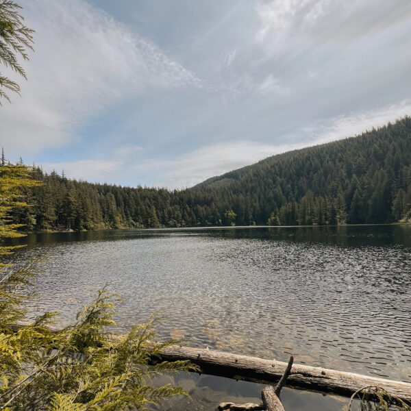 Chadsey Lake -2