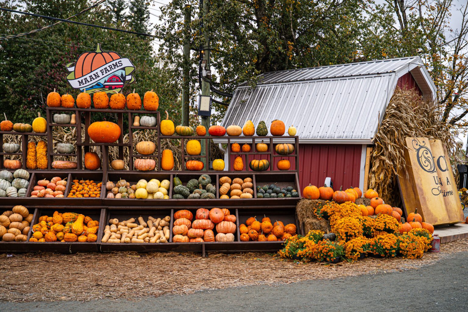 abbotsford-CL-102125-8-1536×1024