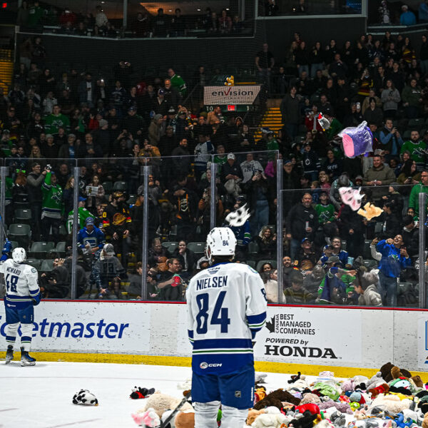 54204967221_80023f5c85_b-2